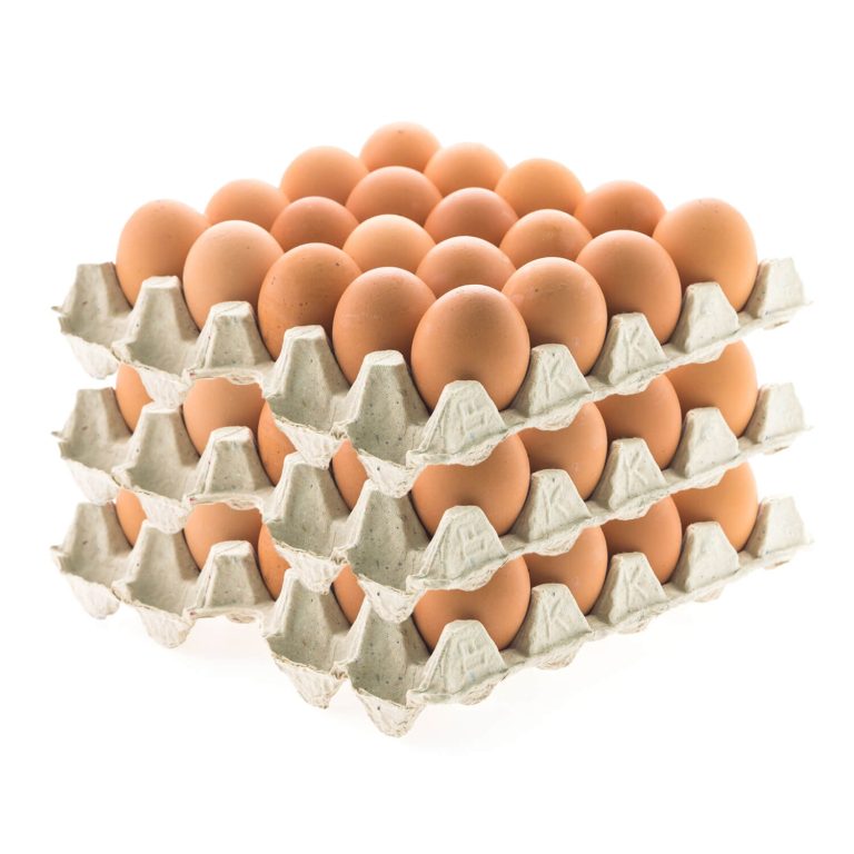 Fresh Organic Eggs