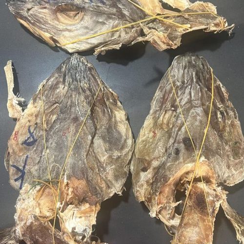 Stockfish Head (Isiokporoko)