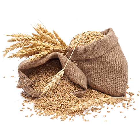 Flours and Grains