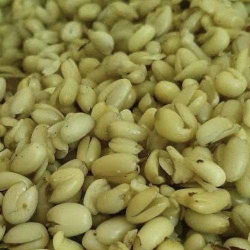 Ukwa (Breadfruit Seed)