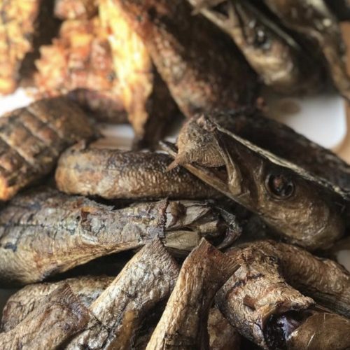 Smoked Baracuda fish