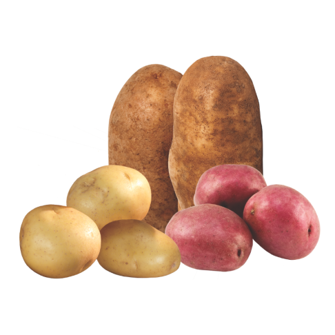 Tubers