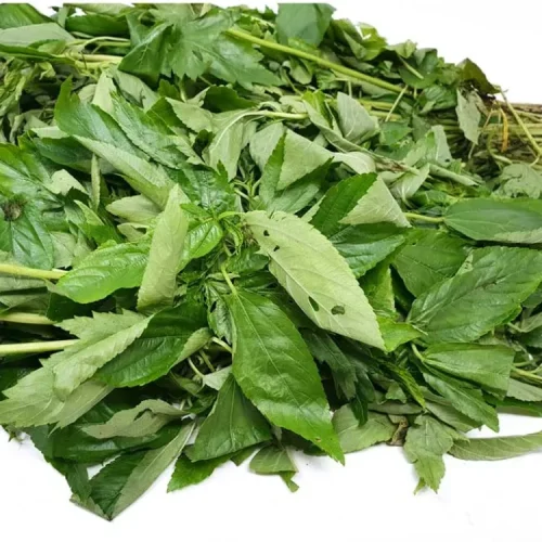 Molokhia Ewedu