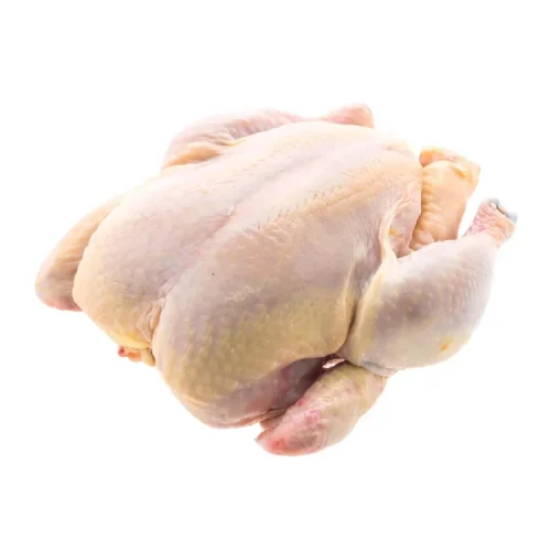 Stewing Hen Chicken