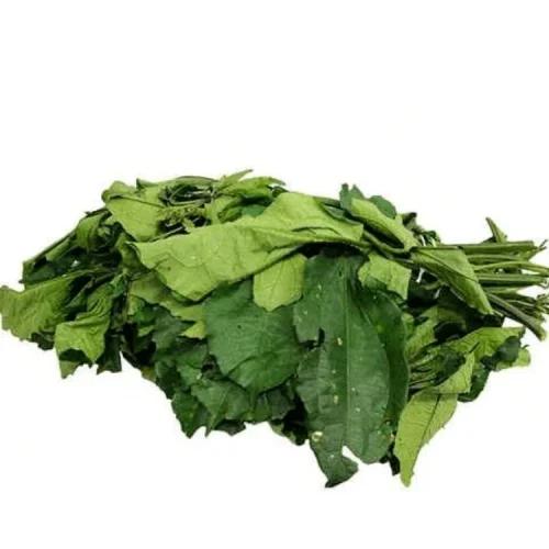 Ugwu Leaves