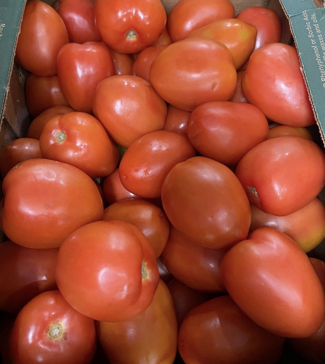 Roma Tomatoes Half box