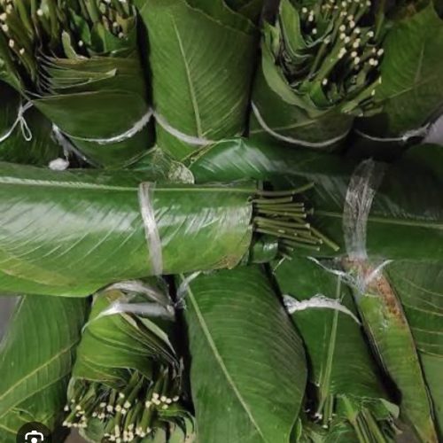 Moimoi leaves