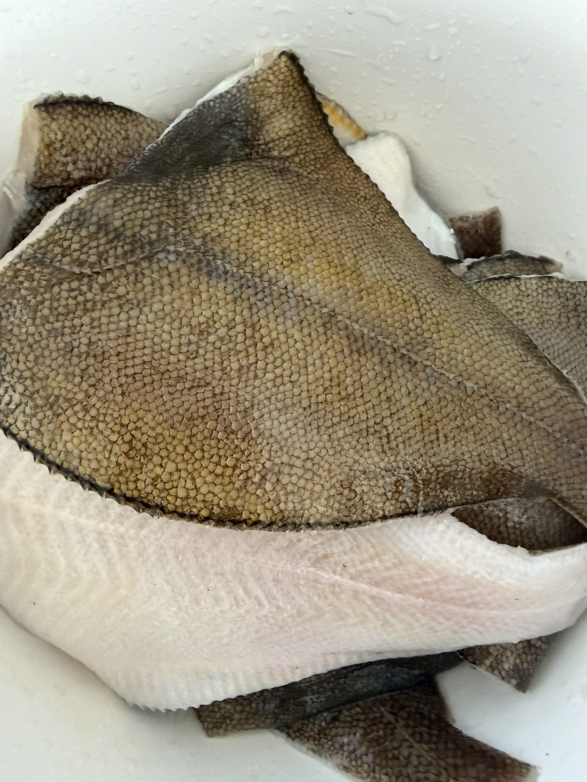 Sole fish (Abo) fresh